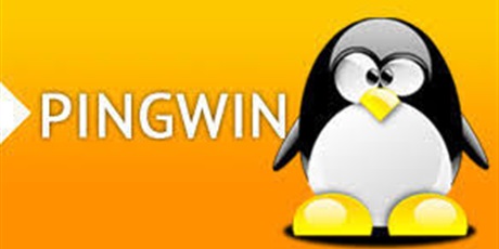 Konkurs matematyczny PINGWIN