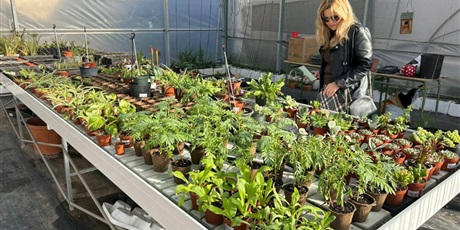 Powiększ grafikę: Porozumienie partnerskie  z liceum w Maladze 🇵🇱🇪🇦