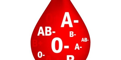 Powiększ grafikę: szkolna-akcja-oddawania-krwi-26256.jpg